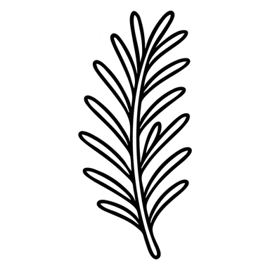 Detailed rosemary herb with needle-like leaves, clean vector outline sticker