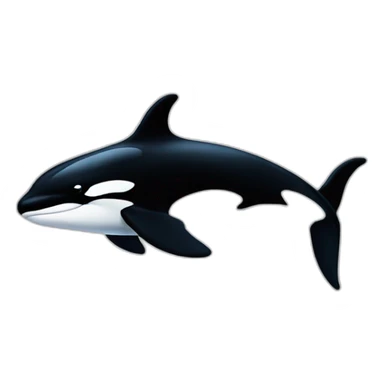 killer whale orca sticker