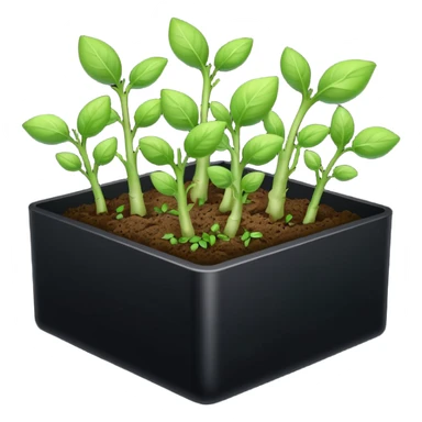 aromatic sprouts thin black box sticker
