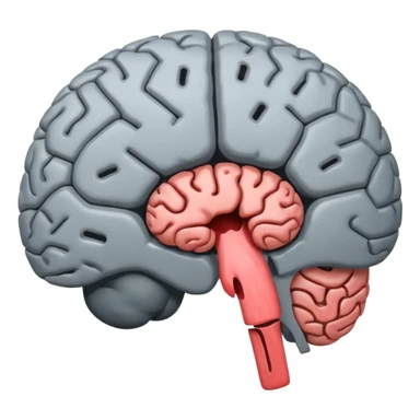 Brain showing hole sticker