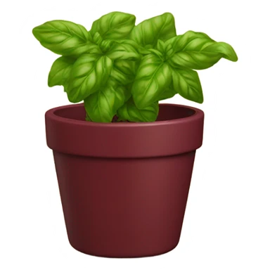 Burgundy basil in gold pot sticker