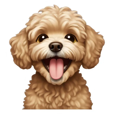 brown maltipoo laughing sticker