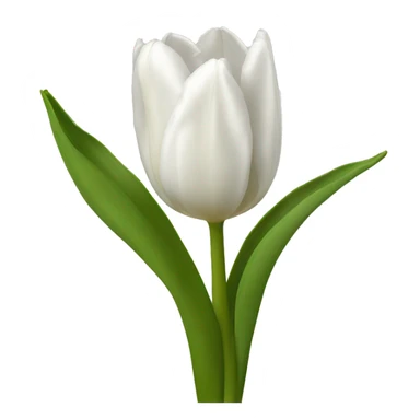 Tulipe white sticker