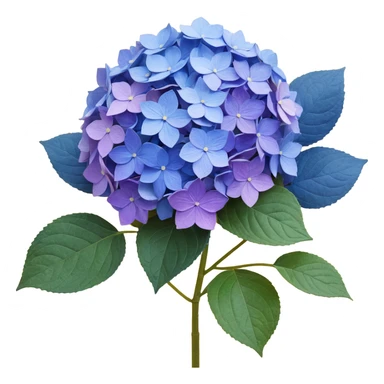 Traditional Japanese hydrangea (ajisai) flower with refined aesthetic, subtle color transitions from blue to purple, gentle raindrops, and washi paper texture background sticker