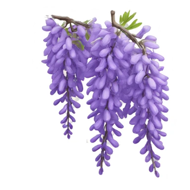 wisteria sticker