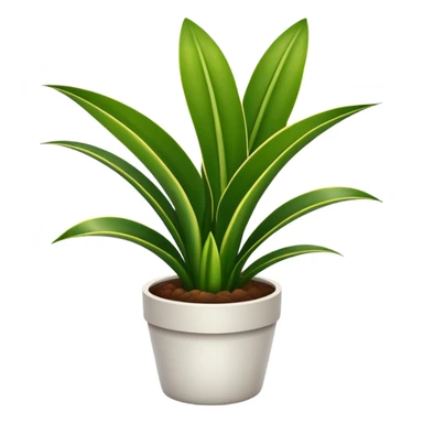 Snake plant in regular pot sticker