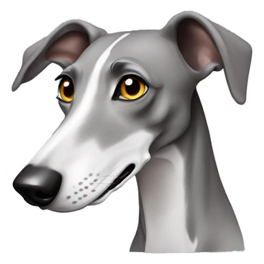 galgo mit kopftuch sticker