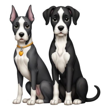 Adult Black and white great dane dog with cropped ears sitting with a small black and white cat sticker