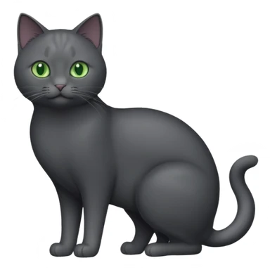 full body completely solid dark grey cat with green eyes and white paws sticker