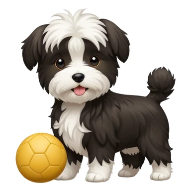 mostly white & black Havenese dog standing with ball sticker