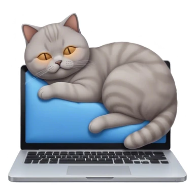 british shorthair Brown sleeping on computer sticker