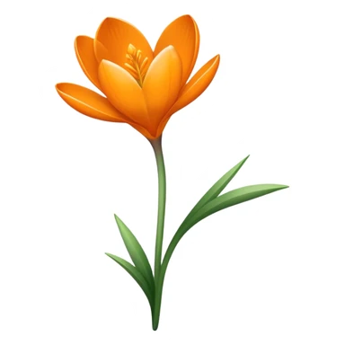 single Crocus Orange, straight stem sticker