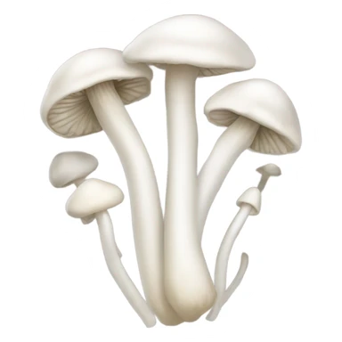 Bundle of white mushroom with long&thin stem and very small cap sticker