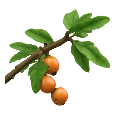 ripe guarana on branch sticker