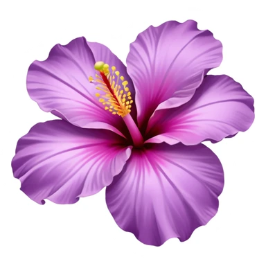 single lilac hibiscus blossom facing left in png form  sticker