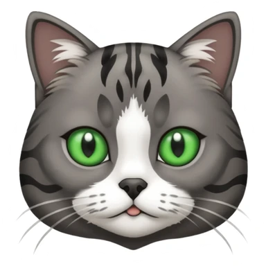 A dark gray tabby cat with green eyes with a black and white shitzu sticker