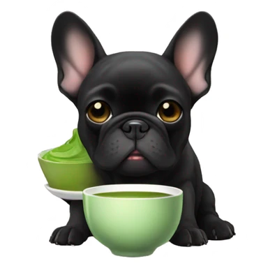 All black French bulldog drinking matcha tea sticker