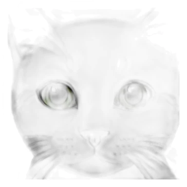 Black white cat with green eyes and whiskers  sticker