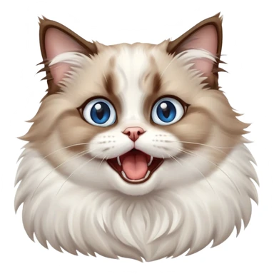 cinematic-adorable-big-eyed-fluffy-brown and white ragdoll-cat-portrait-emoji,-head-tilted-playfully-with-a-cute,-yawn,-soft-brown-and white-colored-fur-with-darker-points-on-the-ears,-simplified-yet-irresistibly-cute-features, sparkling blue eyes sticker