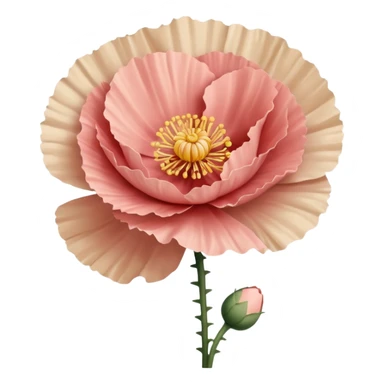 Carnation poppy beige light rose sticker