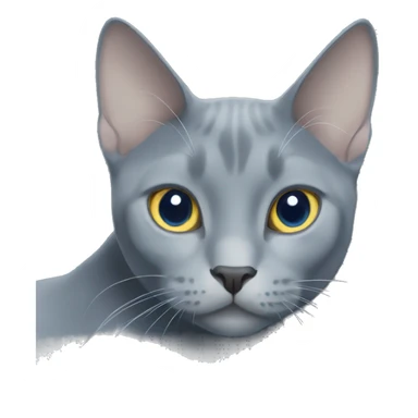 Russian blue cat with white chest and white paws sticker
