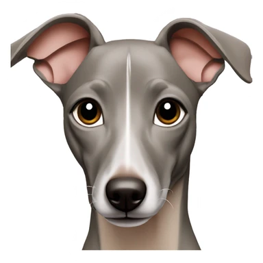 solid blue fawn italian greyhound sticker