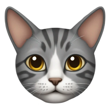 Cat dap sticker