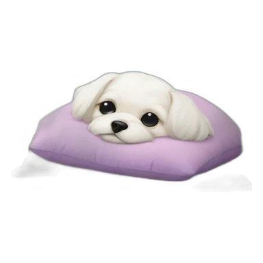 Maltese dog nap on pillow sticker