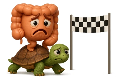  EMOJI STILE IPHONE 3D DI UN INTESTINO CON ESPRESSIONE ANGOSCIATA CHE CAMMINA SEDUTO IN GROPPA SUL GUSCIO DI UNA TARTARUGA IN ATTESA ESTENUANTE DI RAGGIUNGERE UN TRAGUARDO POCO PIù AVANTI, SULLA LORO DESTRA. IL TRAGUARDO è UNA BANDIERA A DUE PIEDI CON FASCIA A SCACCHI BIANCHI E NERI. iperrealistico 4k sticker