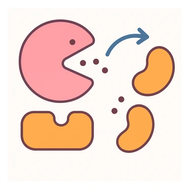 Ultra-detailed scientific illustration  (like in a school book) of enzyme digestion. Macro molecular view, clean white background, no text, no human figures or cartoon characters. Purely biological focus and really detailed sticker