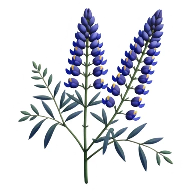 Realistic Still life detailed, dark blue Lupine Lupinus blossom sticker