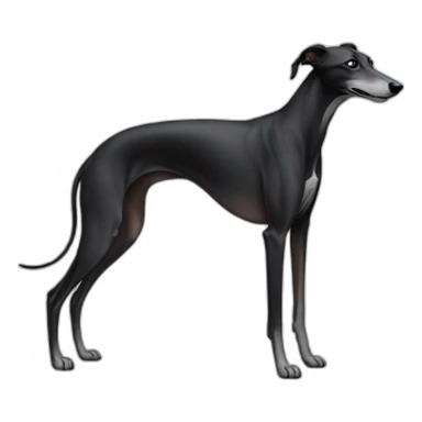 Black Greyhound no white sticker