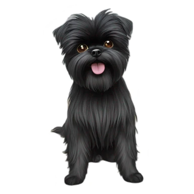 Affenpinscher sticker