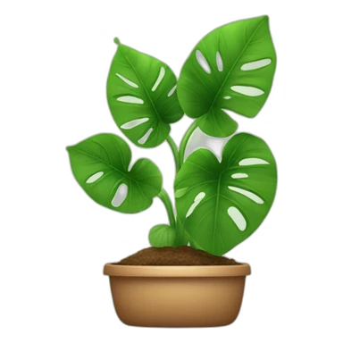 house plant with big leafs sticker