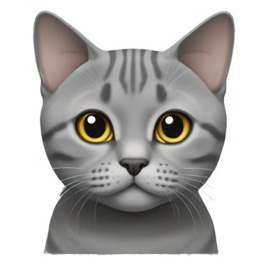 British Shorthair Cat Tabby Grey sticker