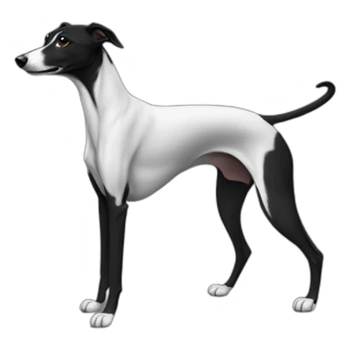solid black whippet sticker