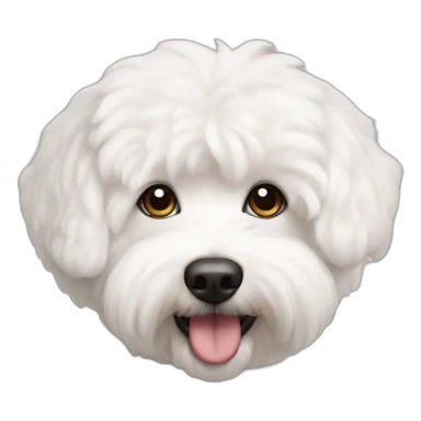 bichon havanais sticker