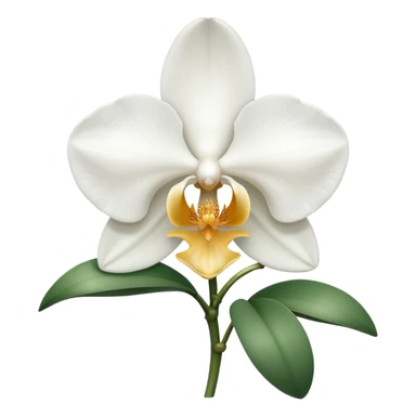 White orchid sticker