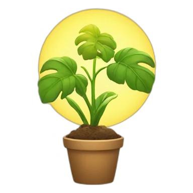 plant and sunlight sticker