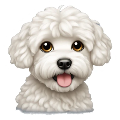 Maltipoo dog sticker