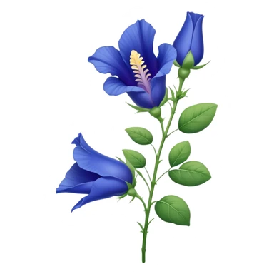 single Blue Butterfly Pea flower, stem, leaf sticker