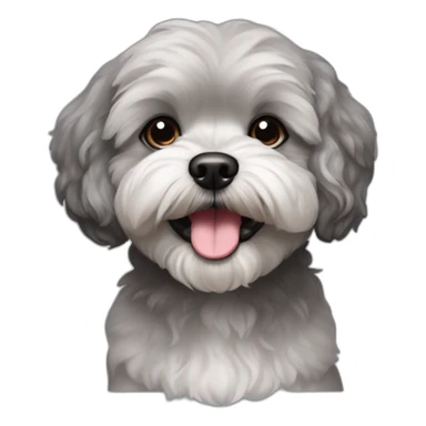 underbite grayish shihpoo dog with blackish ear sticker