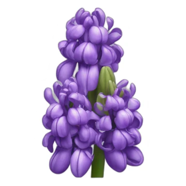 Purple hyacinth flower sticker