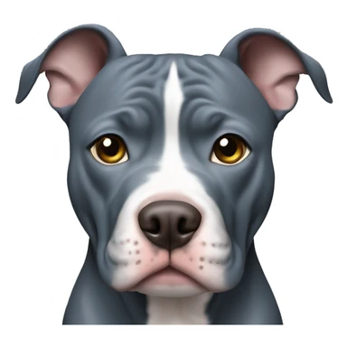Blue nose pitbull  sticker