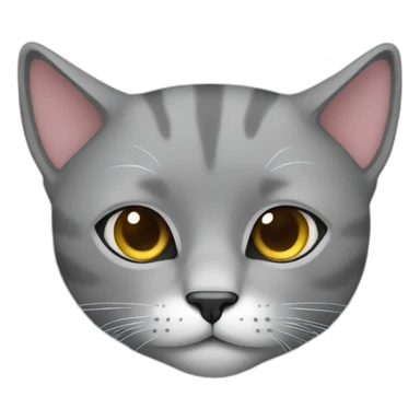 exotic grey cat sleeping sticker