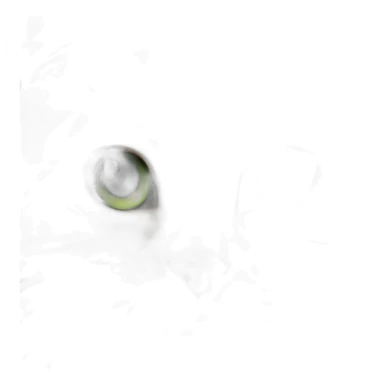 Ginger Siberian cat with green eyes sticker