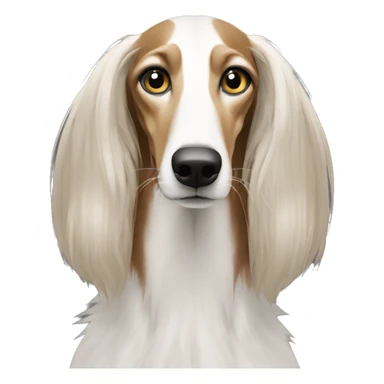 saluki rap sticker
