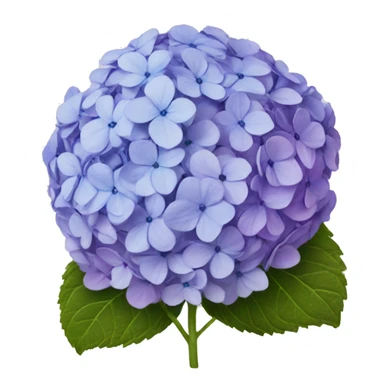 hydrangeas sticker
