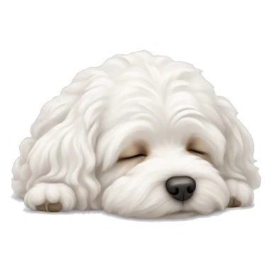 White maltipoo sleeping sticker