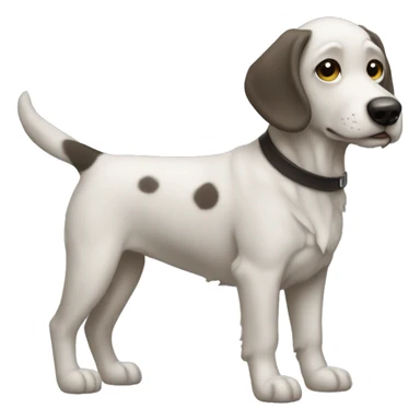 haz un perro con un lazito sticker